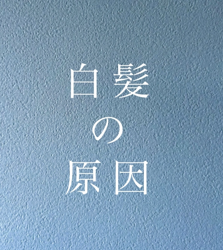 白髪の原因　その二